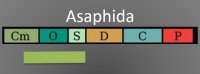 Asaphida Geologic Time Range
