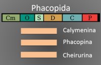 Phacopida Range Over Geologic Time