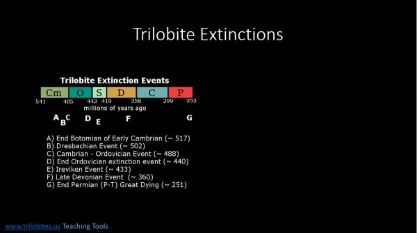 Trilobite Extinctions
